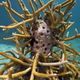 Illustration for article titled The Astonishing Treasures of Underwater Art Galleries